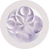/uploadfile/202312/ab8ea323eaa9a39.png